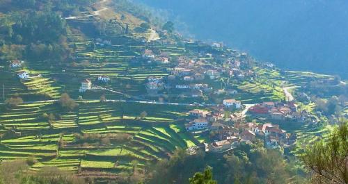 Portugal Trips Tours 15